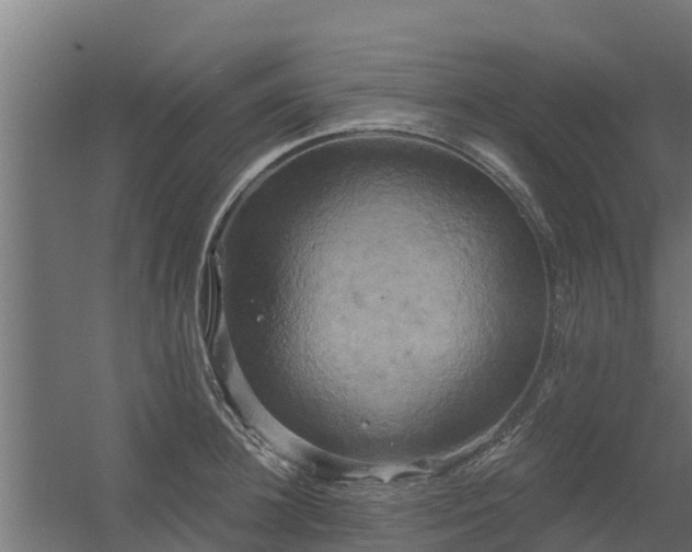 X0000056350948200509021718