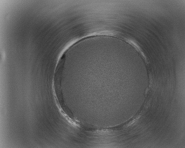 X0000056350952200509021718