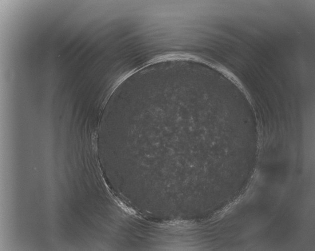 X0000056350953200509021718