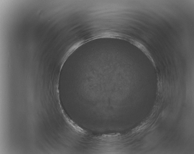 X0000056350954200509021718