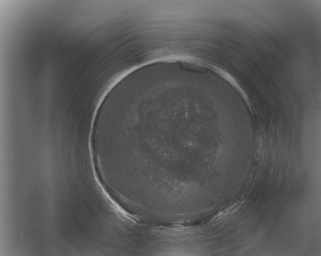 X0000056350959200509021718