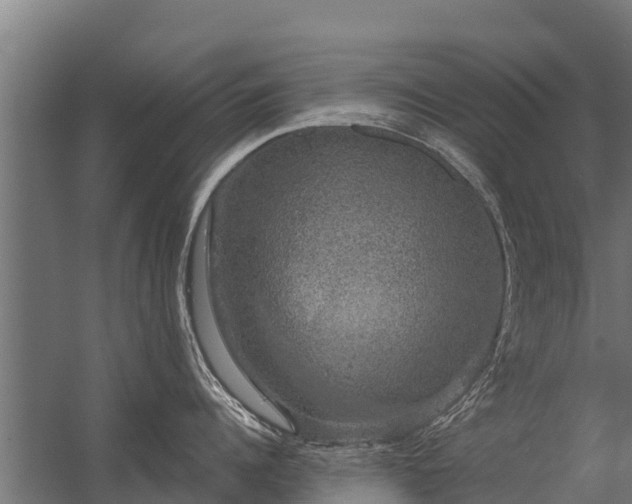 X0000056350960200509021718