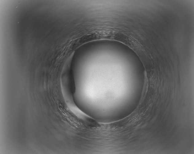 X0000056350961200509021718