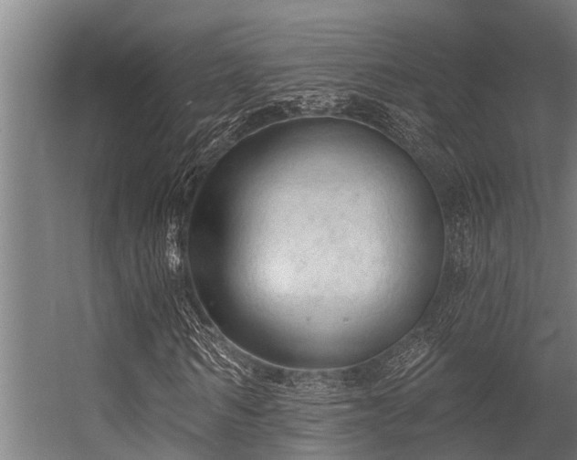 X0000056350962200509021718