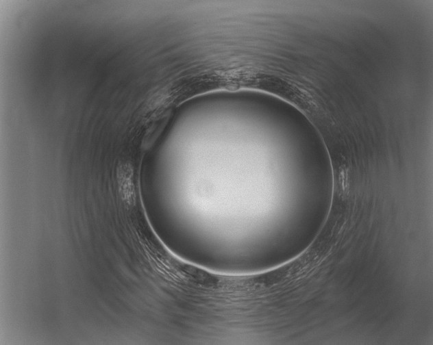 X0000056350963200509021717