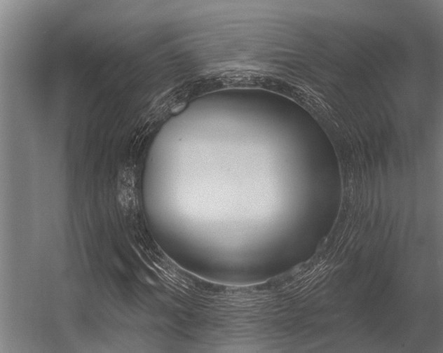 X0000056350964200509021717