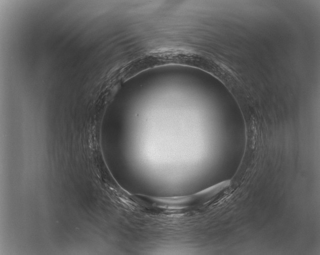 X0000056350965200509021717