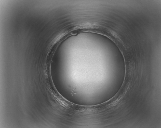 X0000056350970200509021717