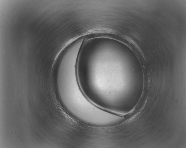 X0000056350973200509021717