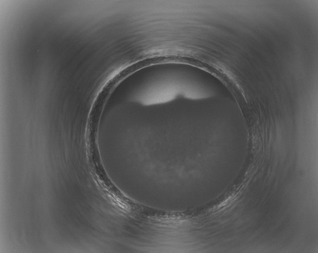 X0000056350975200509021717