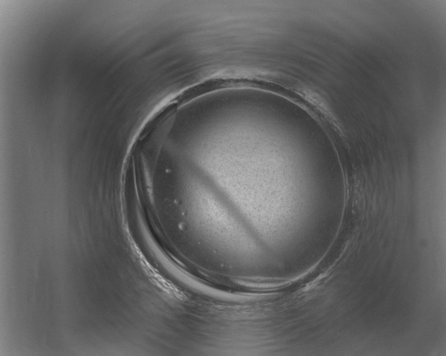 X0000056350976200509021717