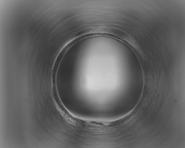 X0000056350980200509021717