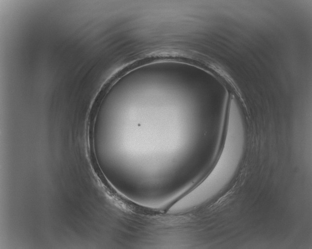 X0000056350984200509021717