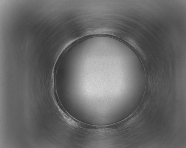 X0000056350988200509021717