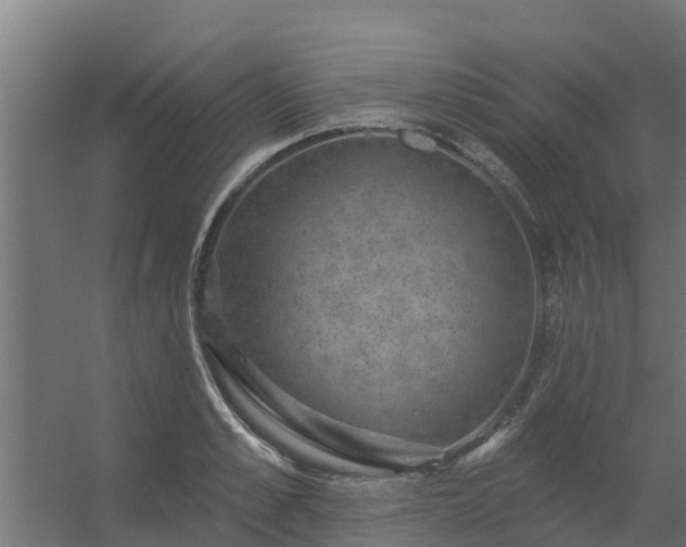 X0000056350989200509021717