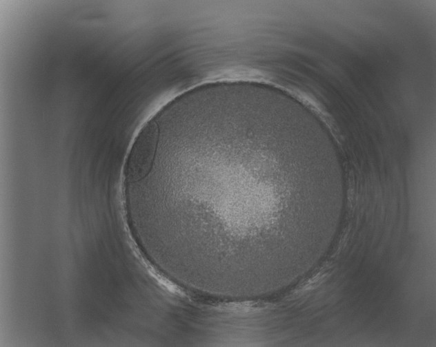 X0000056350990200509021717