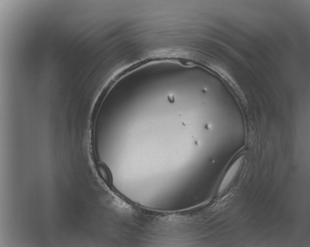 X0000056350992200509021717