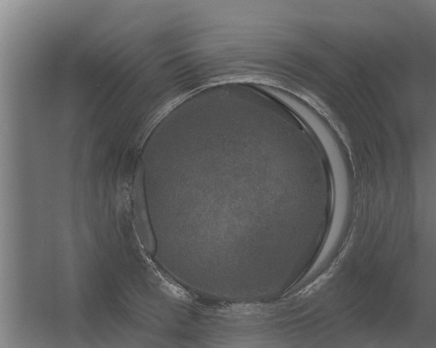 X0000056350993200509021717