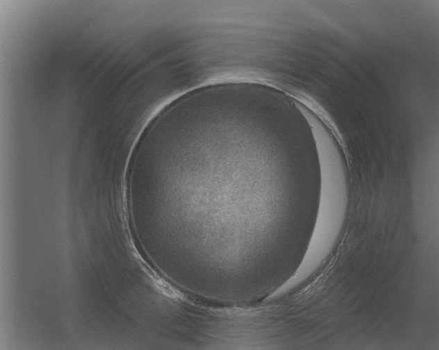 X0000056350996200509021717