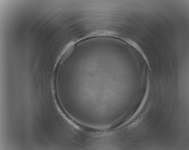 X0000056350997200509021717