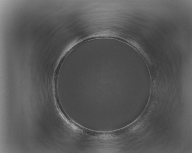 X0000056350998200509021717