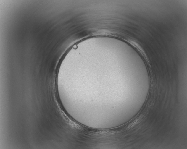 X0000056351000200509021717