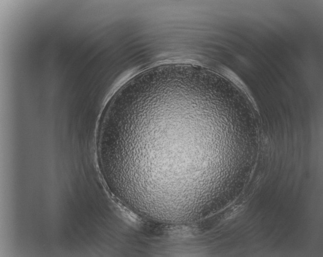 X0000056351002200509021717