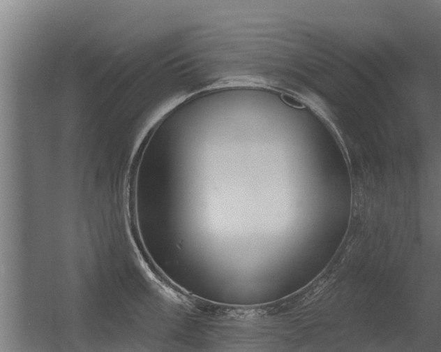 X0000056351003200509021717