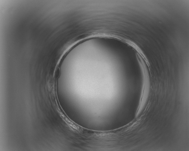 X0000056351004200509021717