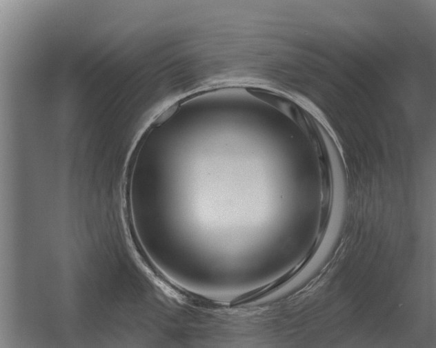 X0000056351005200509021717