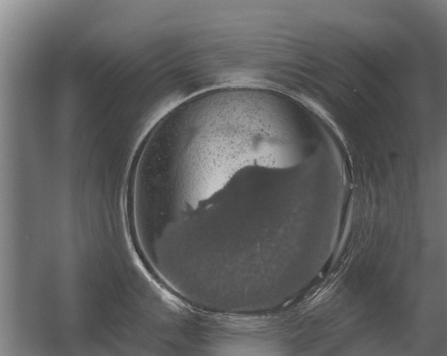 X0000056351007200509021717