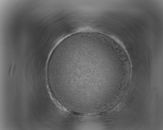 X0000056351008200509021717