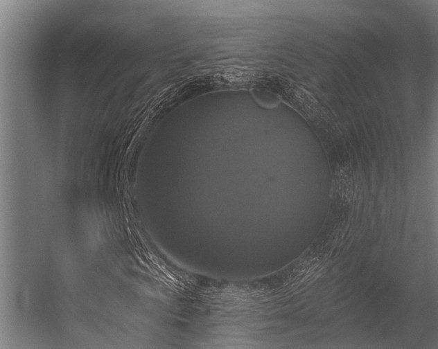 X0000056351009200509021716