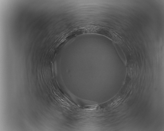 X0000056351010200509021716