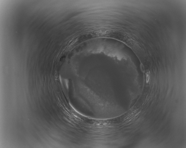 X0000056351011200509021716