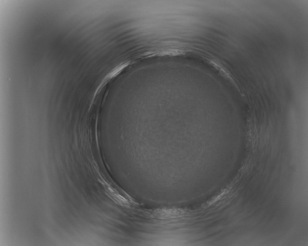 X0000056351018200509021716