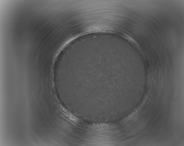 X0000056351019200509021716