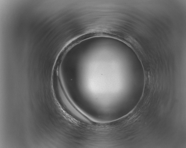 X0000056351020200509021716