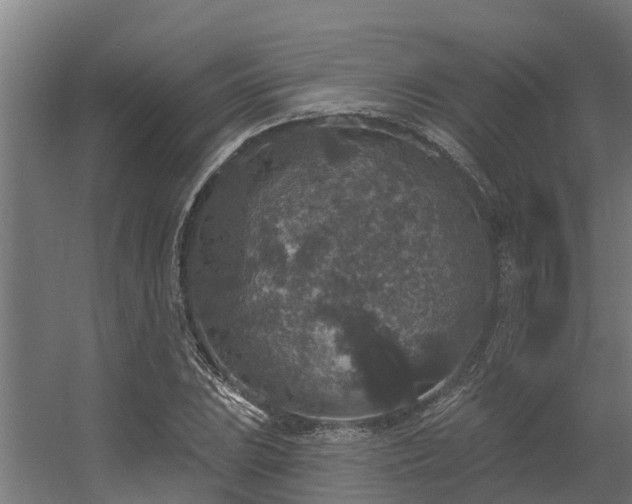 X0000056351023200509021716