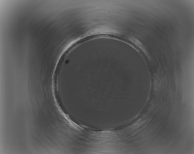 X0000056351024200509021716