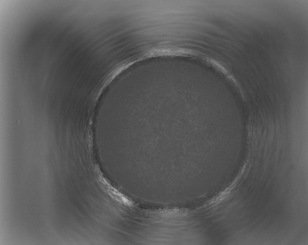 X0000056351025200509021716