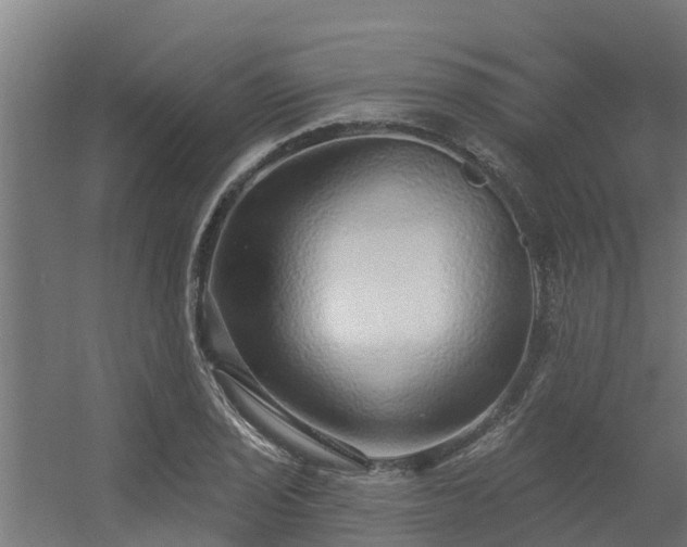 X0000056351029200509021716