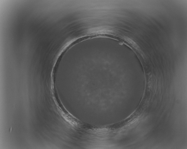 X0000056351031200509021716