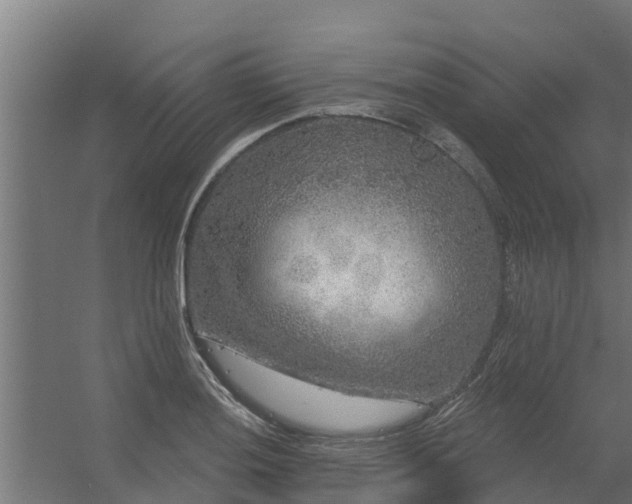 X0000056351036200509021716