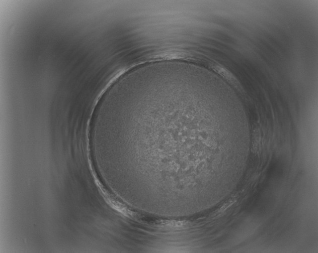 X0000056351039200509021716