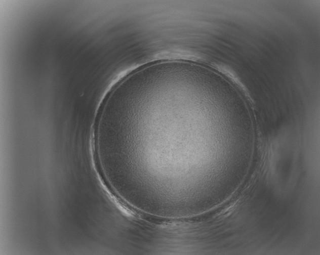 X0000056351040200509021716