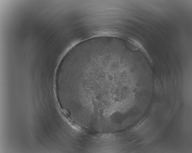 X0000056351043200509021716