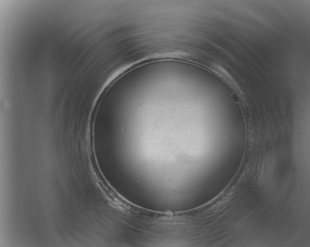 X0000056351044200509021716