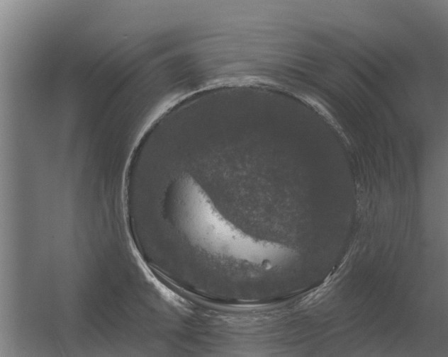 X0000056351046200509021717