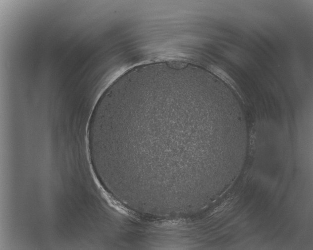 X0000056351047200509021717